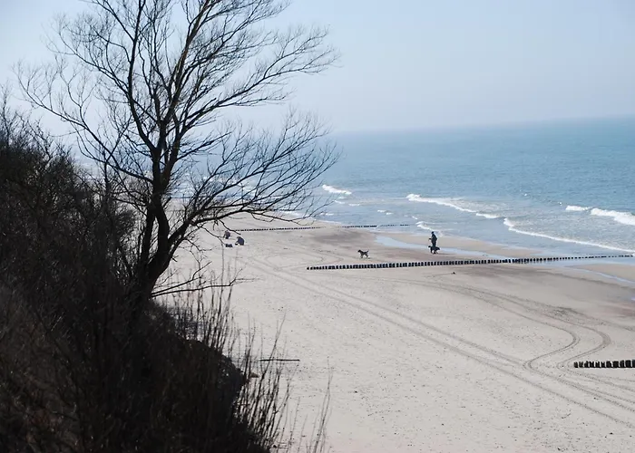 Domyletnie Ogrodzony Dom 92m2 * Сарбиново